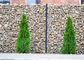 Le zinc lourd a enduit la forme galvanisée de perforation rectangulaire de panier de mur pour des jardins/parcs