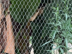 Maillage en acier inoxydable en treillis métallique en treillis métallique en treillis ferrule en treillis zoologique structure en grille en forme de diamant