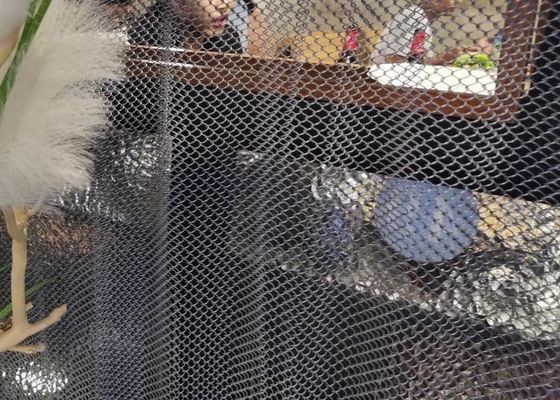 Fil décoratif flexible Mesh Curtain de draperie 2mm pour la décoration d'hôtel