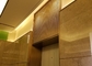 Fil ornemental Mesh For Elevators Hall Lobby de solides solubles 304 d'or