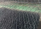 Le PVC 60mmx80mm vert écologique a enduit le fil Mesh For Slope Paving de Gabion
