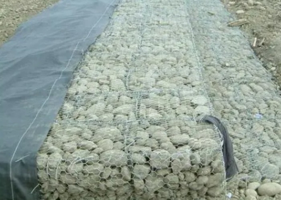 Taille de la maille 60x80mm Matraque en gabon Reno Haute résistance pour les structures de maintien