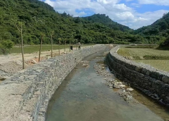 Gabion Mesh (6cm x 8cm) Parfait pour le jardinage et l'aménagement paysager, galvanisé à chaud