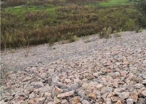 Le PVC a enduit  Gabion Mattress Slope Protection écologique