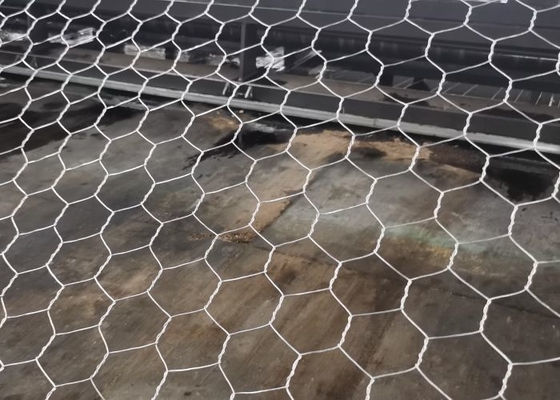 Protection du cours d'eau des paniers en gabions métalliques avec une durée de vie supérieure à 10 ans