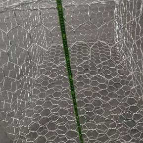 Grillage en gabion hexagonal galvanisé et revêtu de PVC pour la stabilisation des pentes