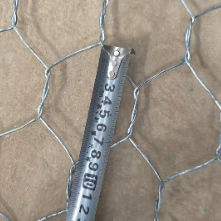 Grillage de gabion hexagonal revêtu de PVC pour le contrôle de l'érosion 10x12cm