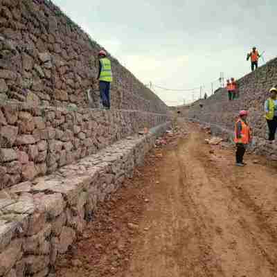 Faisceau de fil métallique galvanisé, conception hexagonale pour aménagement paysager et génie civil